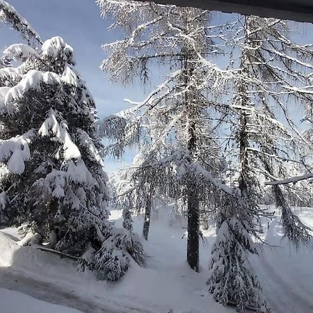 Апартаменты Trento, Monte Bondone, Casa Tipica Di Montagna Нордже Экстерьер фото