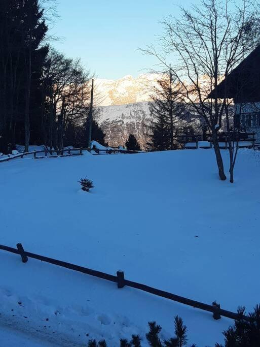 Апартаменты Trento, Monte Bondone, Casa Tipica Di Montagna Нордже Экстерьер фото